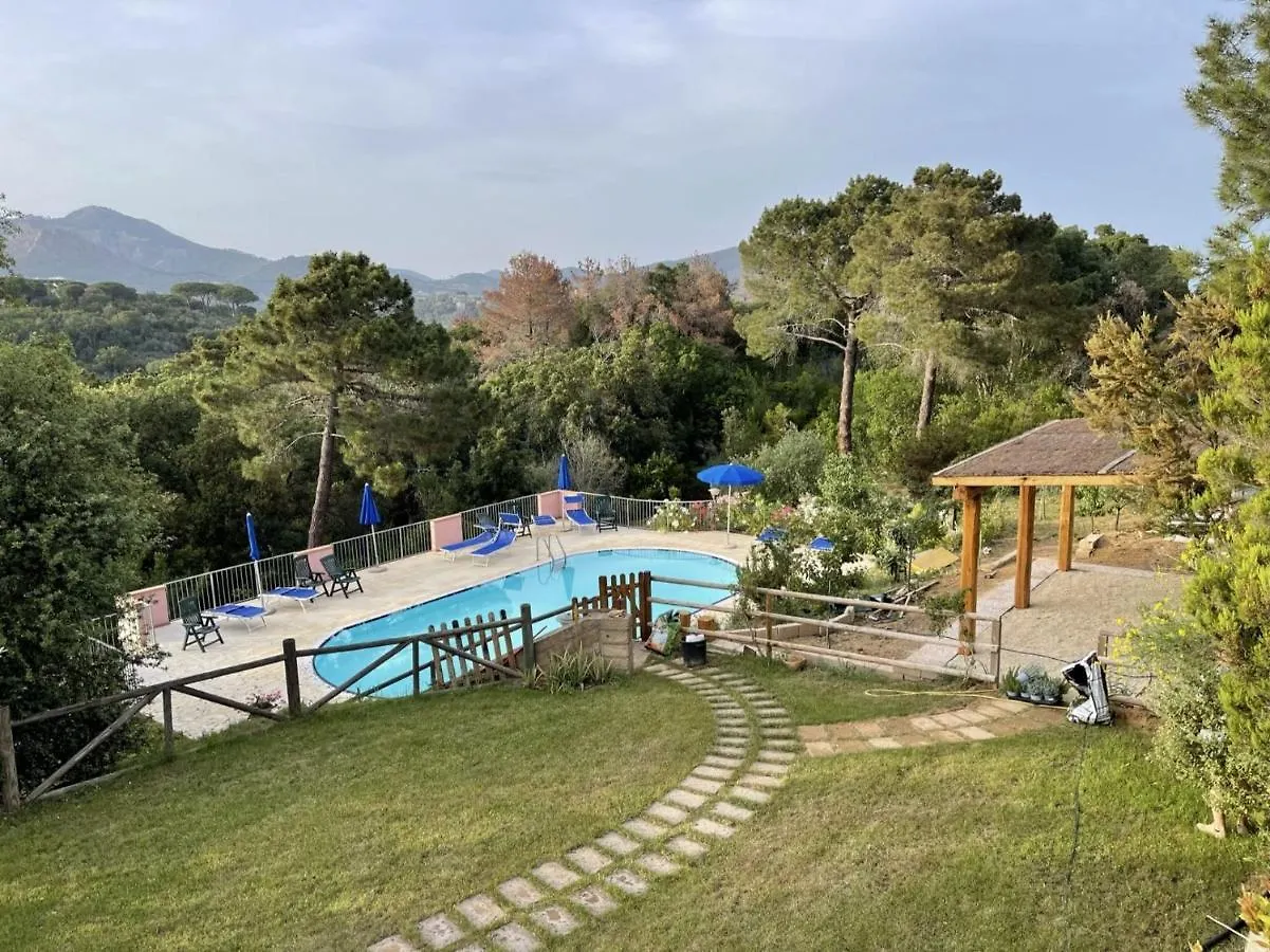Sera & Mattino Appartamenti By Solturelba Capoliveri  Appartement